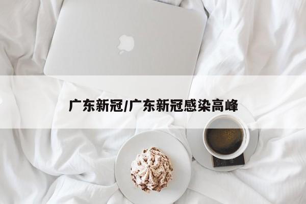 广东新冠/广东新冠感染高峰