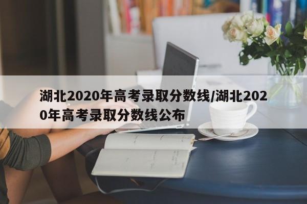 湖北2020年高考录取分数线/湖北2020年高考录取分数线公布