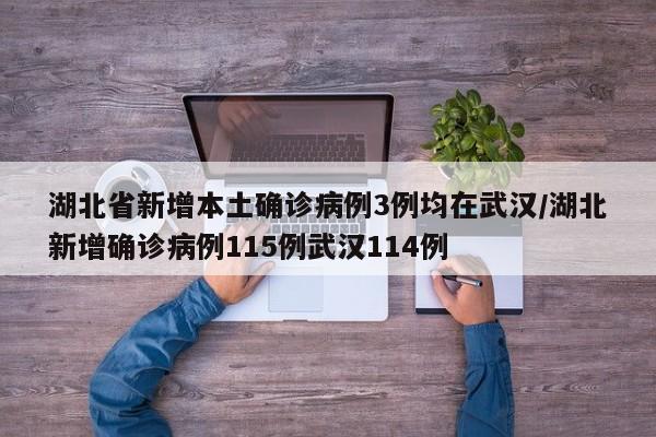 湖北省新增本土确诊病例3例均在武汉/湖北新增确诊病例115例武汉114例