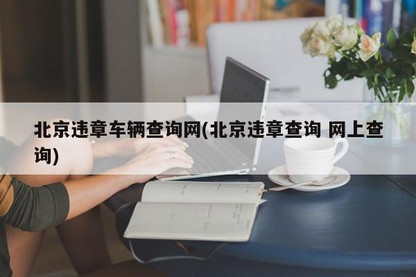 北京违章车辆查询网(北京违章查询 网上查询)